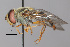  ( - IAE104519)  @11 [ ] CreativeCommons  Attribution Non-Commercial Share-Alike (2022) David Cappaert Institute for Applied Ecology
