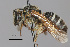  ( - IAE106430)  @11 [ ] CreativeCommons  Attribution Non-Commercial Share-Alike (2022) David Cappaert Institute for Applied Ecology