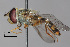  ( - IAE109206)  @11 [ ] CreativeCommons  Attribution Non-Commercial Share-Alike (2022) David Cappaert Institute for Applied Ecology