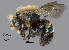  ( - IAE200020)  @11 [ ] CreativeCommons  Attribution Non-Commercial Share-Alike (2022) David Cappaert Institute for Applied Ecology