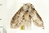  ( - 08-IARI-0024)  @12 [ ] CreativeCommons - Attribution (2008) Unspecified Centre for Biodiversity Genomics