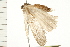  ( - 08-IARI-0053)  @12 [ ] CreativeCommons - Attribution (2008) Unspecified Centre for Biodiversity Genomics