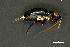  ( - INV14316)  @11 [ ] Creative Commons Attribution NonCommercial ShareAlike (2024) (2024) Research Center in Biodiversity and Genetic Resources Research Center in Biodiversity and Genetic Resources