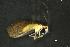  ( - INV14643)  @11 [ ] Creative Commons Attribution NonCommercial ShareAlike (2024) (2024) Research Center in Biodiversity and Genetic Resources Research Center in Biodiversity and Genetic Resources