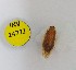  ( - INV14772)  @11 [ ] Creative Commons Attribution NonCommercial ShareAlike (2024) (2023) Research Center in Biodiversity and Genetic Resources Research Center in Biodiversity and Genetic Resources