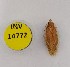  ( - INV14772)  @11 [ ] Creative Commons Attribution NonCommercial ShareAlike (2024) (2023) Research Center in Biodiversity and Genetic Resources Research Center in Biodiversity and Genetic Resources