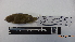  ( - IAvH-BT 5435)  @13 [ ] CreativeCommons - Attribution Non-Commercial Share-Alike (2013) Instituto Humboldt Unspecified