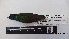  ( - IAvH-BT 5324)  @13 [ ] CreativeCommons - Attribution Non-Commercial Share-Alike (2013) Instituto Humboldt Unspecified