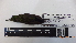  ( - IAvH-BT 8697)  @12 [ ] CreativeCommons - Attribution Non-Commercial Share-Alike (2013) Instituto Humboldt Unspecified