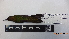  ( - IAvH-BT 2327)  @12 [ ] CreativeCommons - Attribution Non-Commercial Share-Alike (2013) Instituto Humboldt Unspecified