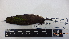  ( - IAvH-BT 2503)  @12 [ ] CreativeCommons - Attribution Non-Commercial Share-Alike (2013) Instituto Humboldt Unspecified