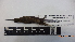  ( - IAvH-BT 10557)  @12 [ ] CreativeCommons - Attribution Non-Commercial Share-Alike (2013) Instituto Humboldt Unspecified