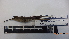  ( - IAvH-BT 10557)  @12 [ ] CreativeCommons - Attribution Non-Commercial Share-Alike (2013) Instituto Humboldt Unspecified