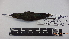  ( - IAvH-BT 2483)  @12 [ ] CreativeCommons - Attribution Non-Commercial Share-Alike (2013) Instituto Humboldt Unspecified