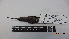  (Phaethornis guy - IAvH-BT 2483)  @12 [ ] CreativeCommons - Attribution Non-Commercial Share-Alike (2013) Instituto Humboldt Unspecified