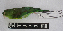  ( - IAvH-BT 13074)  @13 [ ] CreativeCommons - Attribution Non-Commercial Share-Alike (2013) Unspecified Instituto Humboldt