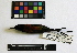  ( - IAvH-CT 1082)  @12 [ ] CreativeCommons - Attribution Share-Alike (2014) Unspecified Instituto de Investigacion de Recursos Biologicos Alexander von Humboldt