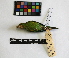  ( - IAvH-CT 14678)  @12 [ ] CreativeCommons - Attribution Share-Alike (2014) Unspecified Instituto de Investigacion de Recursos Biologicos Alexander von Humboldt