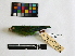 ( - IAvH-CT 14684)  @11 [ ] CreativeCommons - Attribution Share-Alike (2014) Unspecified Instituto de Investigacion de Recursos Biologicos Alexander von Humboldt