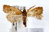  ( - IAWAZ-0662)  @12 [ ] CreativeCommons - Attribution (2009) Unspecified Centre for Biodiversity Genomics