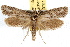  ( - IAWAZ-0791)  @13 [ ] CreativeCommons - Attribution (2009) Unspecified Centre for Biodiversity Genomics