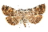  ( - IAWAZ-0002)  @14 [ ] CreativeCommons - Attribution (2009) Unspecified Centre for Biodiversity Genomics