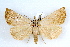  ( - IAWAZ-0053)  @13 [ ] CreativeCommons - Attribution (2009) Unspecified Centre for Biodiversity Genomics