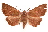  ( - IAWAZ-0083)  @14 [ ] CreativeCommons - Attribution (2009) Unspecified Centre for Biodiversity Genomics