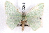  ( - IAWAZ-0248)  @13 [ ] CreativeCommons - Attribution (2009) Unspecified Centre for Biodiversity Genomics