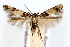  ( - IAWAZ-0421)  @13 [ ] CreativeCommons - Attribution (2009) Unspecified Centre for Biodiversity Genomics