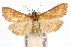  ( - IAWAZ-0598)  @13 [ ] CreativeCommons - Attribution (2009) Unspecified Centre for Biodiversity Genomics