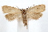  ( - IAWAZ-0634.3)  @14 [ ] CreativeCommons - Attribution (2009) Unspecified Centre for Biodiversity Genomics