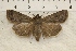  ( - IAWAZ-0831)  @12 [ ] Unspecified (default): All Rights Reserved  Unspecified Unspecified