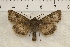  ( - IAWAZ-0834)  @12 [ ] Unspecified (default): All Rights Reserved  Unspecified Unspecified