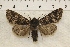  ( - IAWAZ-0837)  @13 [ ] Unspecified (default): All Rights Reserved  Unspecified Unspecified