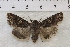  ( - IAWAZ-0856)  @13 [ ] Unspecified (default): All Rights Reserved  Unspecified Unspecified