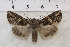  ( - IAWAZ-0857)  @13 [ ] Unspecified (default): All Rights Reserved  Unspecified Unspecified