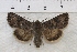  ( - IAWAZ-0860)  @12 [ ] Unspecified (default): All Rights Reserved  Unspecified Unspecified