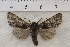  ( - IAWAZ-0863)  @12 [ ] Unspecified (default): All Rights Reserved  Unspecified Unspecified