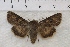  ( - IAWAZ-0864)  @12 [ ] Unspecified (default): All Rights Reserved  Unspecified Unspecified