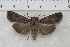  ( - IAWAZ-0878)  @12 [ ] Unspecified (default): All Rights Reserved  Unspecified Unspecified