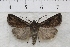  ( - IAWAZ-0884)  @13 [ ] Unspecified (default): All Rights Reserved  Unspecified Unspecified