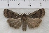  ( - IAWAZ-0898)  @13 [ ] Unspecified (default): All Rights Reserved  Unspecified Unspecified