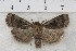  ( - IAWAZ-0899)  @13 [ ] Unspecified (default): All Rights Reserved  Unspecified Unspecified