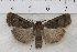  ( - IAWAZ-0900)  @13 [ ] Unspecified (default): All Rights Reserved  Unspecified Unspecified