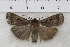  ( - IAWAZ-0901)  @13 [ ] Unspecified (default): All Rights Reserved  Unspecified Unspecified