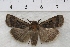  ( - IAWAZ-0902)  @13 [ ] Unspecified (default): All Rights Reserved  Unspecified Unspecified
