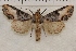  ( - IAWAZ-0909)  @14 [ ] Unspecified (default): All Rights Reserved  Unspecified Unspecified