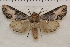 ( - IAWAZ-0910)  @15 [ ] Unspecified (default): All Rights Reserved  Unspecified Unspecified