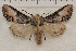  ( - IAWAZ-0911)  @14 [ ] Unspecified (default): All Rights Reserved  Unspecified Unspecified
